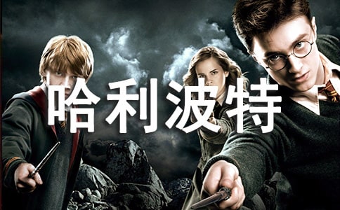 推薦一本書(shū)哈利波特作文