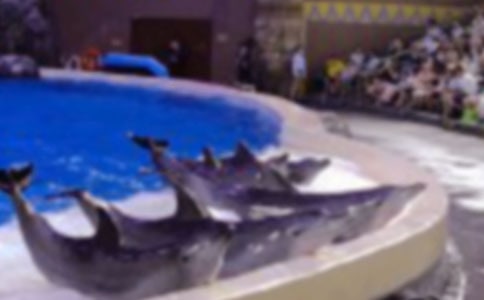 ������˽̌W�OӋ