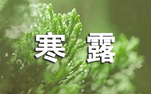 2020年優(yōu)美的寒露祝福語(yǔ)集合32句