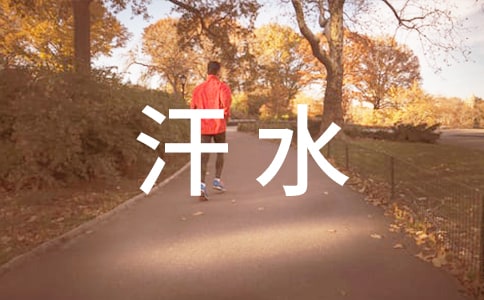 陽(yáng)光下的汗水