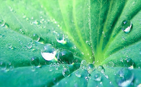 �����~�A�A����(y��u)��̌W(xu��)�O(sh��)Ӌ(j��)�����x11ƪ��