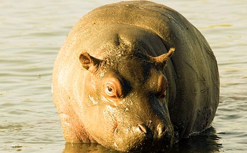 ���������ֵ�С���R���C�Ͻ̌W(xu��)��˼