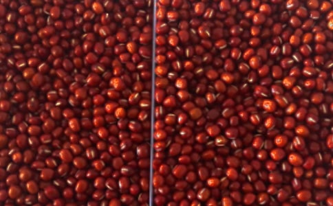 “紅豆耕耘杯”中學(xué)生文學(xué)創(chuàng)作征文大賽征稿啟事