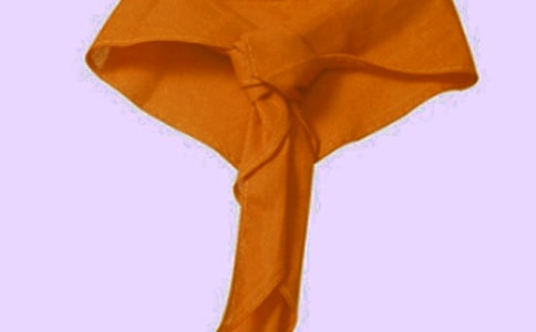 紅領(lǐng)巾相約中國夢初二作文(精選11篇)