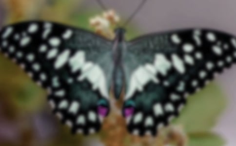 ��������400��4ƪ