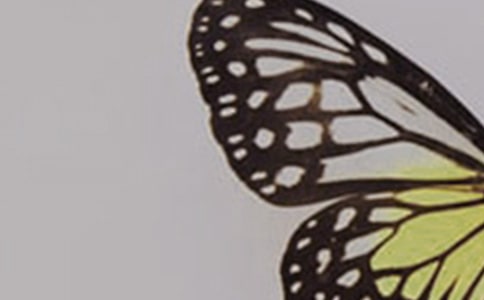 �������������̌W��˼����