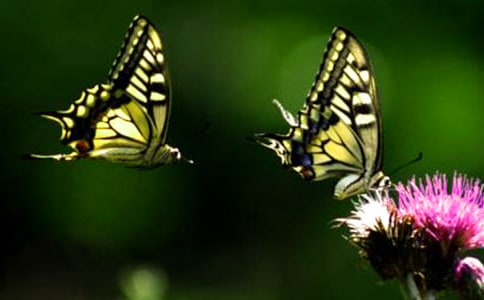 �������������\��10ƪ