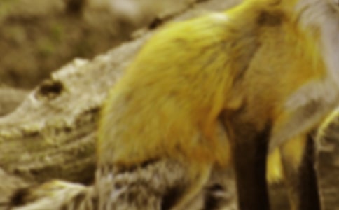 �����]�����f�ͺ�؂���ĺϼ�5ƪ