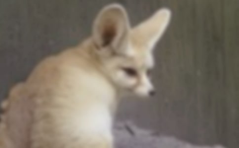 ���f�ͺ�؂����400�֣����x95ƪ��