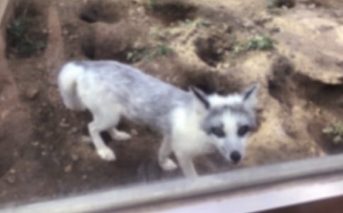 ����؂�͞��f���̌W�O(sh��)Ӌ(15ƪ)