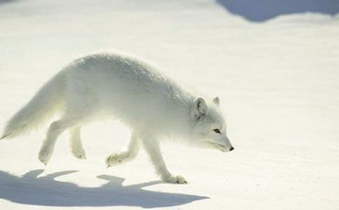 ����(y��u)�㡿�ƻ��ĺ�؂����