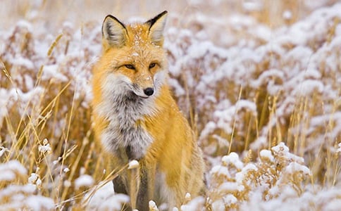 �����f�ͺ�؂���Ľ̌W�OӋ����