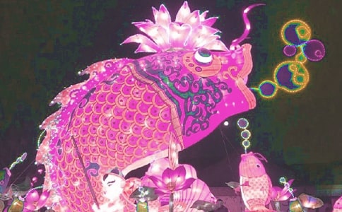 花燈作文300字六篇