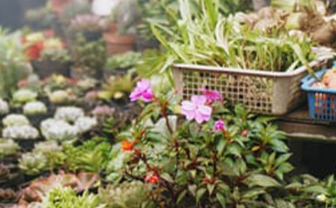 花店項(xiàng)目創(chuàng)新創(chuàng)業(yè)計(jì)劃書(shū)(通用5篇)