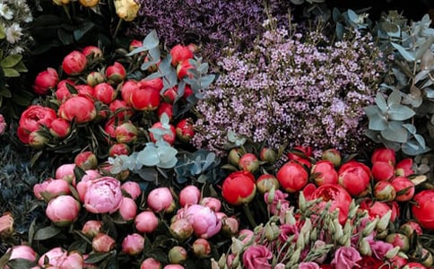 ��������400��3ƪ