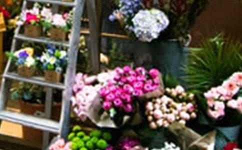 開花店創(chuàng)業(yè)計劃書