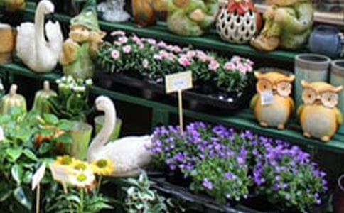 花店作文400字6篇