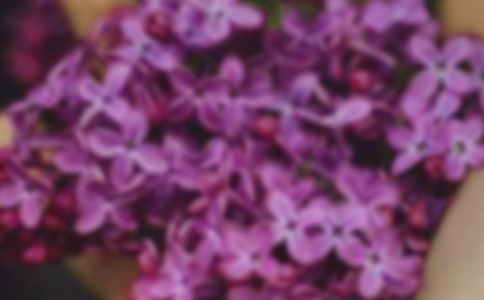 �茑���������