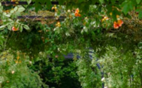 �����˵Ļ��@���̌W(xu��)�O(sh��)Ӌ(j��)���ģ����x5ƪ��