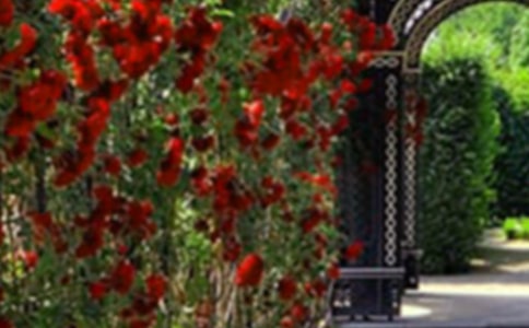 ���˵Ļ��@�̌W(xu��)�O(sh��)Ӌ(j��)�����x5ƪ��