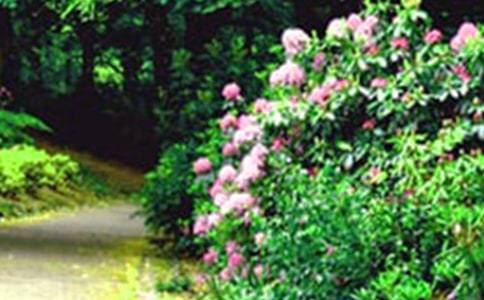 �����T�����@����300��3ƪ