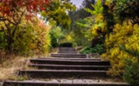 花園作文400字(精選43篇)