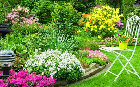 關(guān)于描寫(xiě)花園的作文