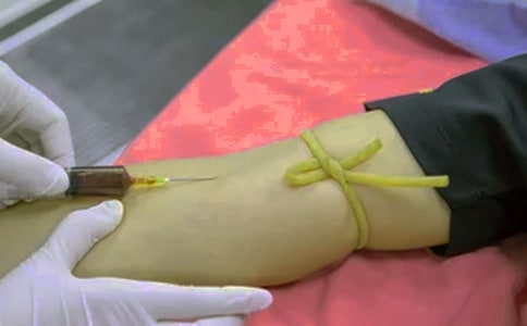 患者安全總結(jié)