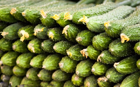 �㽶�������S����������