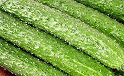 【實用】黃瓜的作文300字四篇