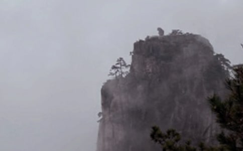 黃山游記作文集合(2篇)