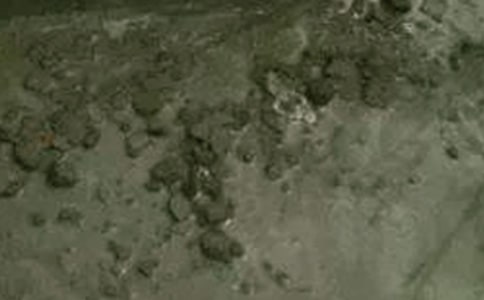 ���������ڄպ�ͬ���������x5ƪ��