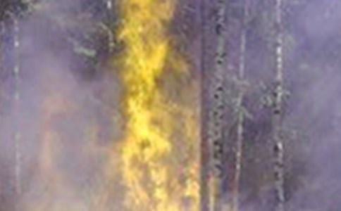 �l(f��)�����(z��i)��(y��ng)���A(y��)��