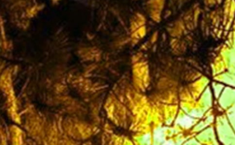 ���������(z��i)���ع���������r�R��(b��o)��(y��u)��