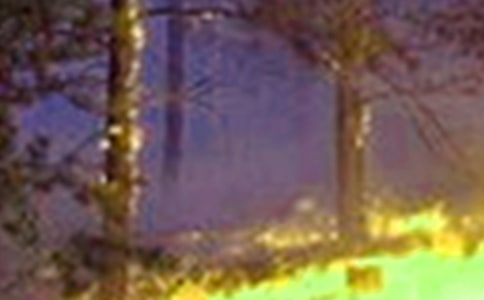 ���(z��i)��(y��ng)���A(y��)��(15ƪ)