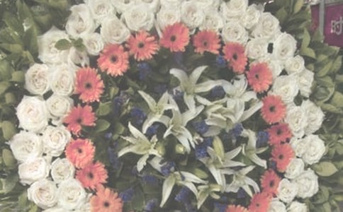 祭奠逝去的青春作文