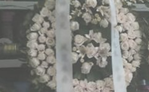 �����ഺ���}Ŀ��550������