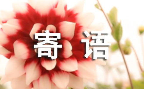 已逝親人簡(jiǎn)短寄語