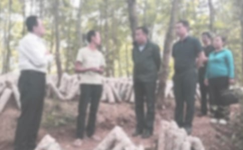 �o(j��)�z���Ĺ������Y(ji��)���ģ����x9ƪ��