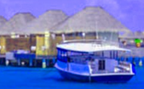 我的假期生活優(yōu)秀作文800字