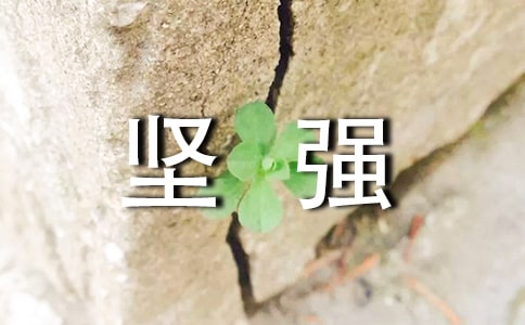 �����S�P���ڳ��L�ЌW���ԏ�