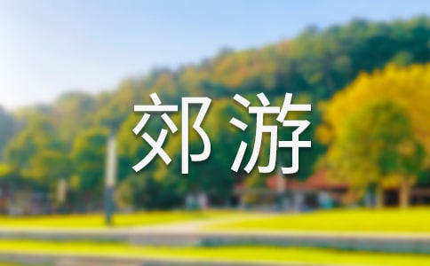 快樂郊游作文(精選15篇)