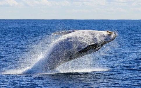 �L�~������400��8ƪ