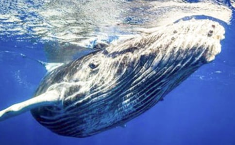 ���Ǻ�����̎��һ�l�L�~���ģ����x9ƪ��