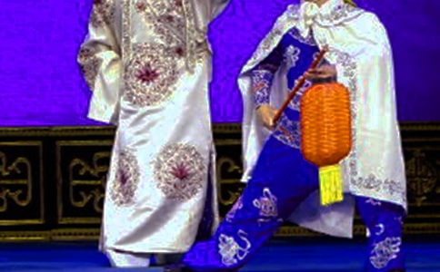 �茑��٩����������