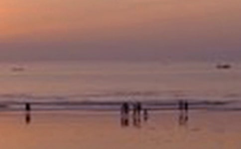 【精華】農(nóng)村景色作文4篇