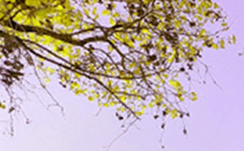 �P(gu��n)���茑���@��ɫ�ă�(y��u)������