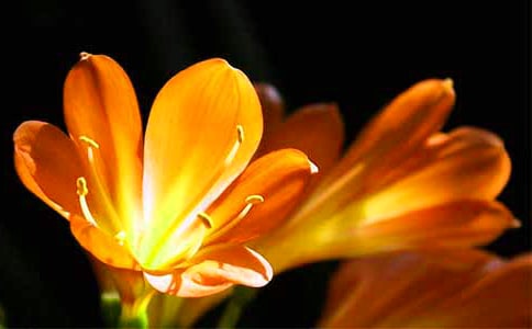 ���P(gu��n)�����m������450��