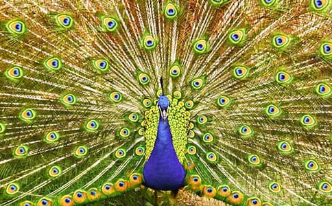 �P(gu��n)�ڿ�ȸ����600����ƪ