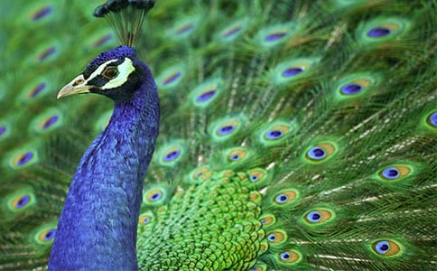 ������g(sh��)�̰���ȸ��ͨ��15ƪ��